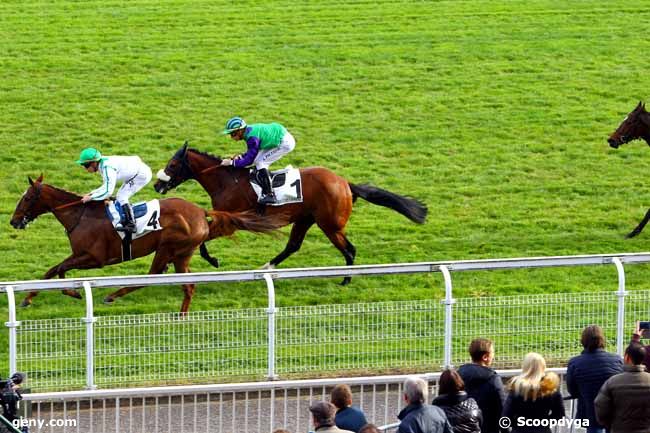 01/11/2017 - Maisons-Laffitte - Prix le Pacha : Arrivée