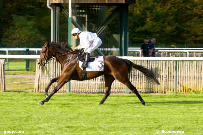 16/10/2018 - Chantilly - Prix du Petit Parc : Arrivée