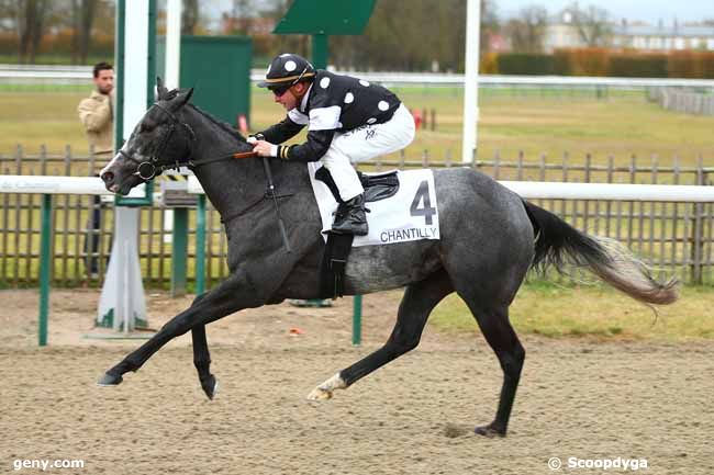 07/11/2018 - Chantilly - Prix des Dix Cors : Result