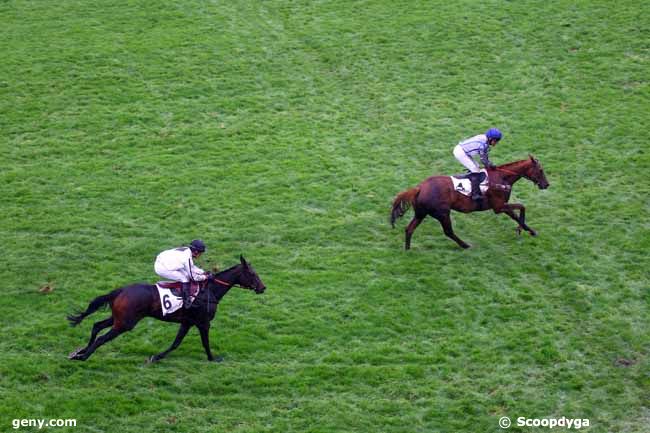 03/11/2019 - Auteuil - Prix Bernard Secly : Ankunft