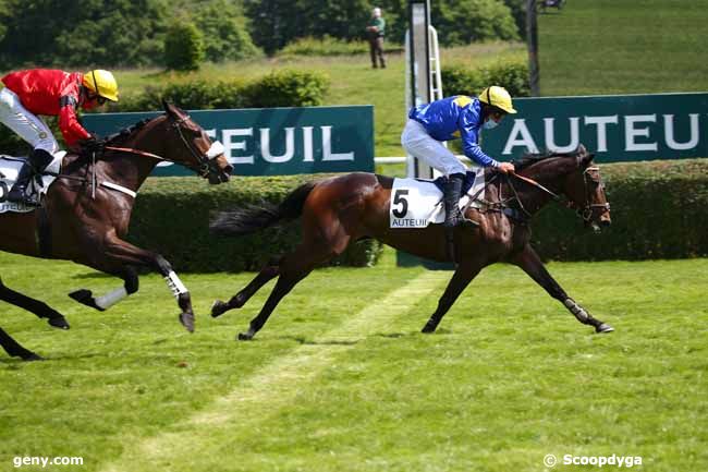 16/05/2020 - Auteuil - Prix Murat : Arrivée