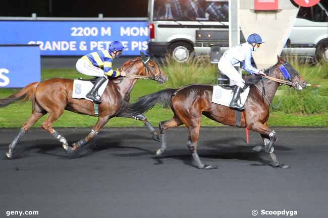 13/10/2020 - Vincennes - Prix Euterpe : Ankunft