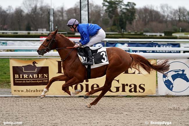 01/02/2023 - Pau - Prix Magicienne : Arrivée