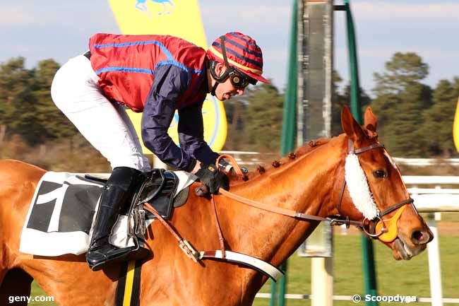 28/02/2023 - Fontainebleau - Prix des Héronnières : Arrivée