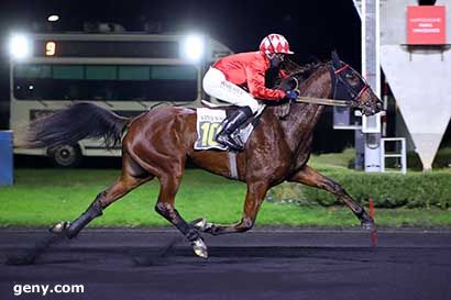 01/12/2023 - Vincennes - Prix Gienah : Arrivée