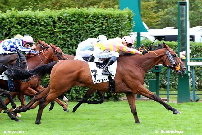 03/09/2024 - Chantilly - Prix du Lavoir de la Chaussée : Arrivée