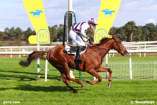 14/10/2024 - Fontainebleau - Prix du Mont Ussy : Arrivée