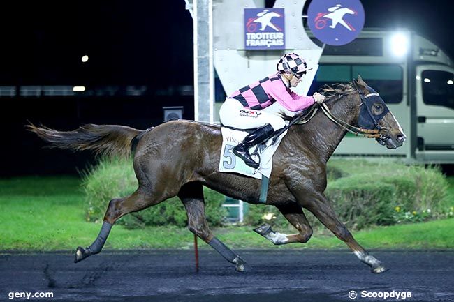 04/11/2024 - Vincennes - Prix Reynolds : Arrivée