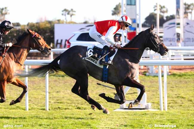 15/01/2025 - Cagnes-sur-Mer - Prix de la Corniche Fleurie : Arrivée