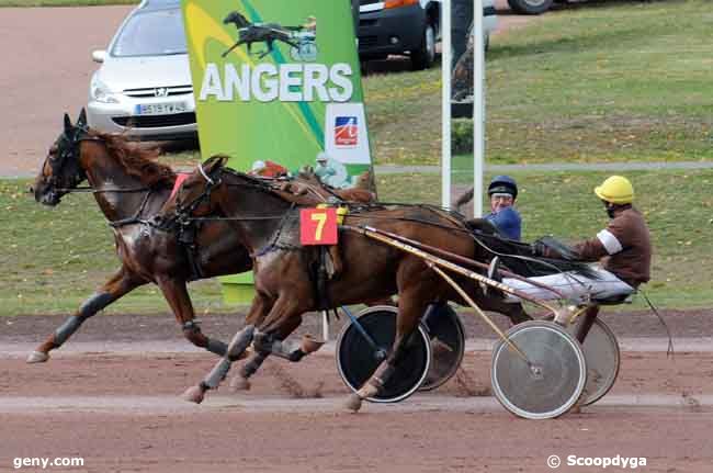 01/10/2008 - Angers - Prix Fandango : Result