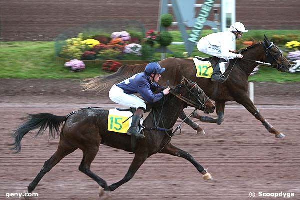 19/11/2008 - Rouen-Mauquenchy - Prix Société des Courses Rouennaises : Result