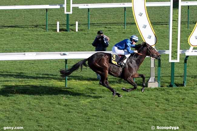 15/11/2010 - Compiègne - Prix des Futaies : Arrivée