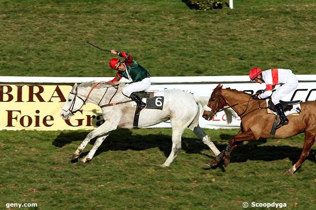 17/01/2012 - Pau - Prix Elie de Malet : Arrivée