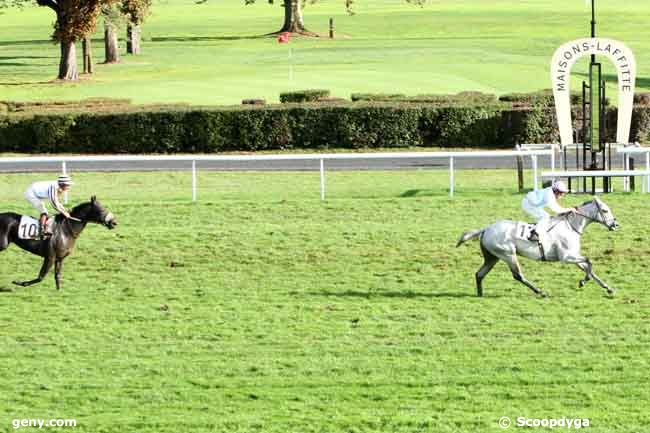 13/10/2012 - Maisons-Laffitte - Prix du Val d'Or : Arrivée