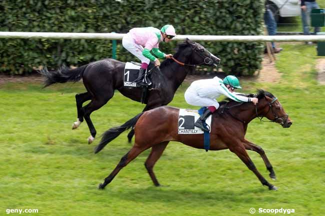 17/05/2013 - Chantilly - Prix du Mont de Po : Result