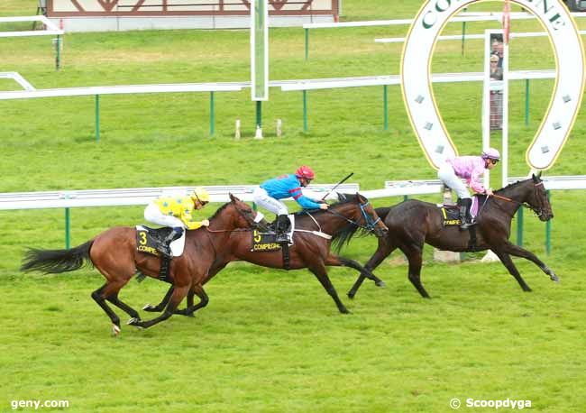 11/07/2016 - Compiègne - Prix de la Champagne : Ankunft