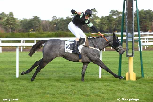 28/11/2017 - Fontainebleau - Prix des Gorges d'Apremont : Ankunft