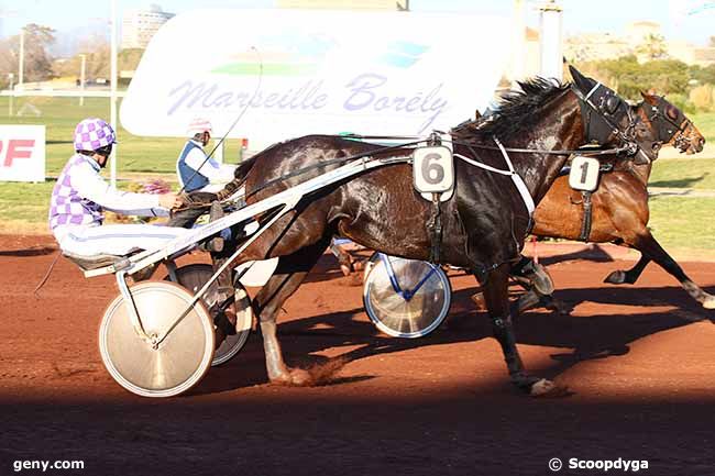 27/03/2019 - Marseille-Borély - Prix de Cassis : Arrivée