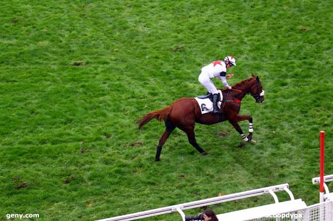 03/11/2019 - Auteuil - Prix Cambacérès - Grande Course de Haies des 3 ans : Ankunft