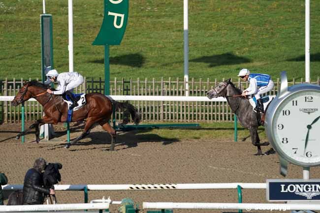 06/11/2019 - Chantilly - Prix de la Seigneurerie : Arrivée