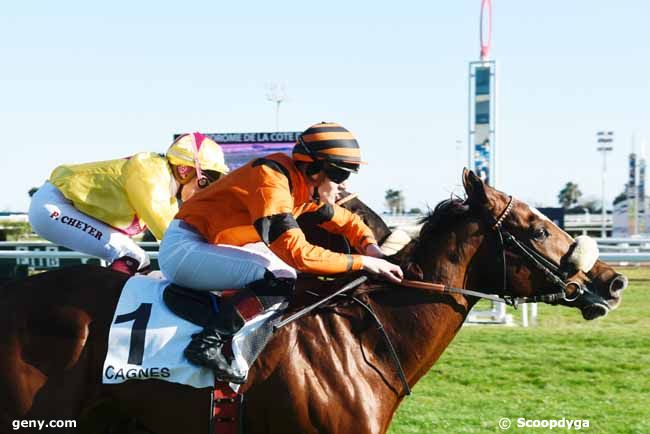 07/02/2020 - Cagnes-sur-Mer - Prix de la Menthe Poivrée : Arrivée