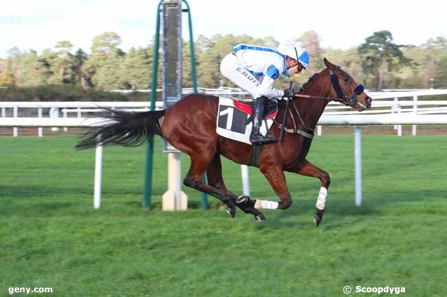 03/11/2020 - Fontainebleau - Prix de Thoméry : Arrivée