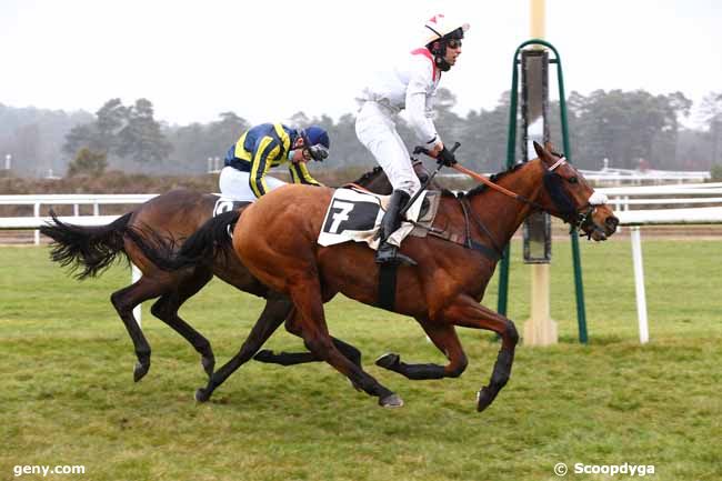 16/03/2021 - Fontainebleau - Prix Dix Cors Royal : Arrivée