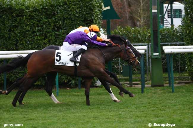 16/03/2022 - Chantilly - Prix Ronde de Nuit : Arrivée