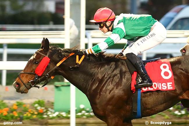 11/11/2022 - Toulouse - Prix Jerôme Rambaud : Arrivée