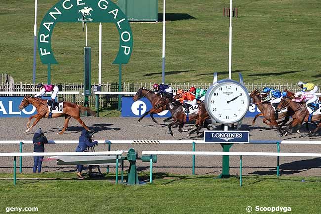 06/02/2023 - Chantilly - Prix de la Faisanderie d'Apremont : Arrivée