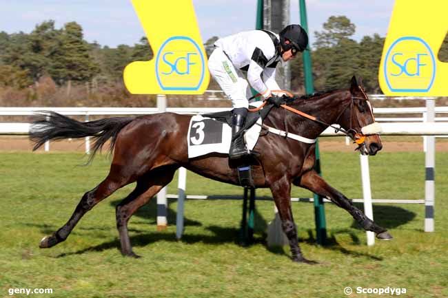 28/02/2023 - Fontainebleau - Prix des Daguets : Arrivée