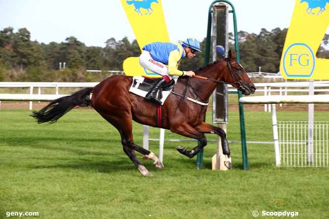 10/10/2023 - Fontainebleau - Prix du Mont Ussy : Arrivée