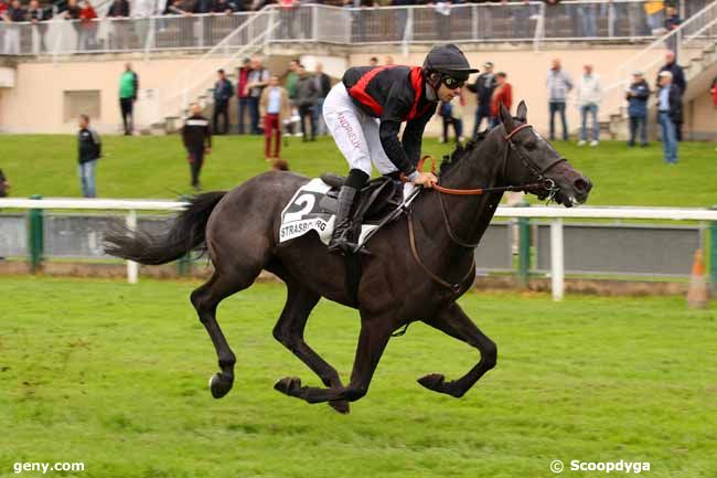 29/05/2024 - Strasbourg - Prix Kleber : Arrivée