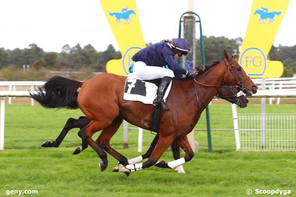 14/10/2024 - Fontainebleau - Prix Gérard de Marisy : Arrivée