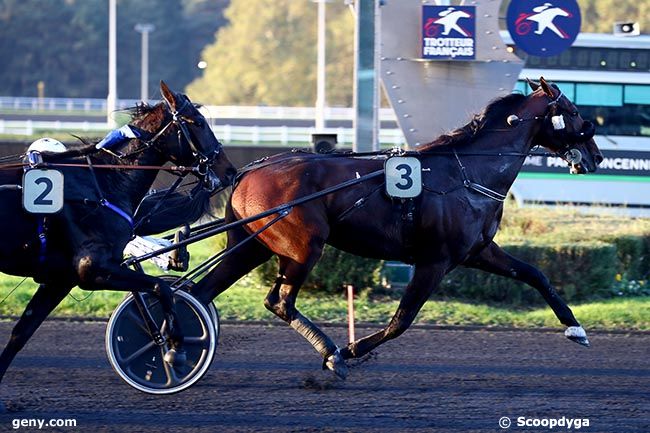 04/11/2024 - Vincennes - Prix de Bidart : Arrivée