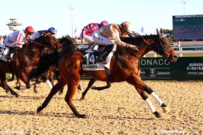 15/01/2025 - Cagnes-sur-Mer - Prix du Val Borrigo : Arrivée