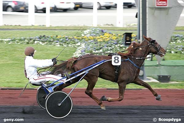 26/11/2007 - Vincennes - Prix de Menneval (Gr B) : Result