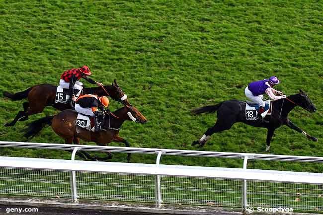 12/11/2009 - Auteuil - Prix Lycoming : Ankunft