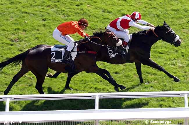 20/09/2010 - Auteuil - Prix Robert Lejeune : Ankunft