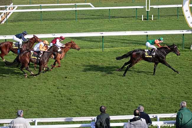 15/11/2010 - Compiègne - Prix des Frondaisons : Arrivée