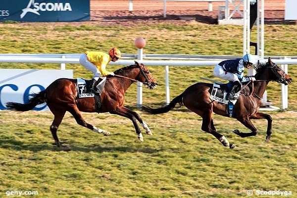 18/02/2012 - Cagnes-sur-Mer - Prix des Remparts : Arrivée