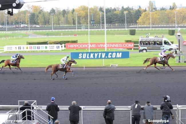 08/11/2012 - Vincennes - Prix de Gex : Arrivée