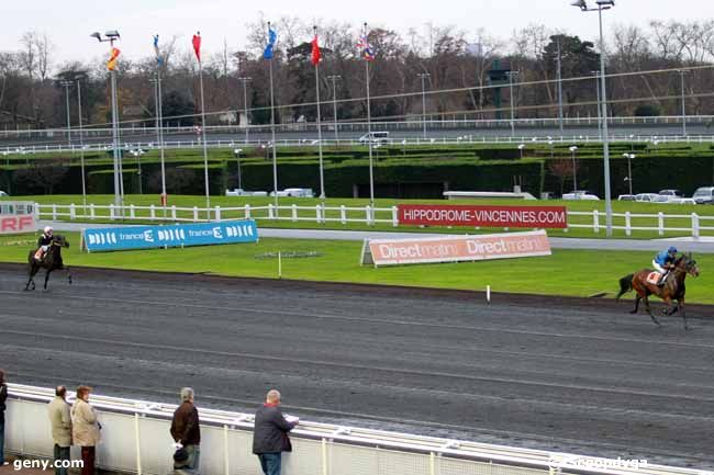 03/12/2012 - Vincennes - Prix d'Ales : Ankunft