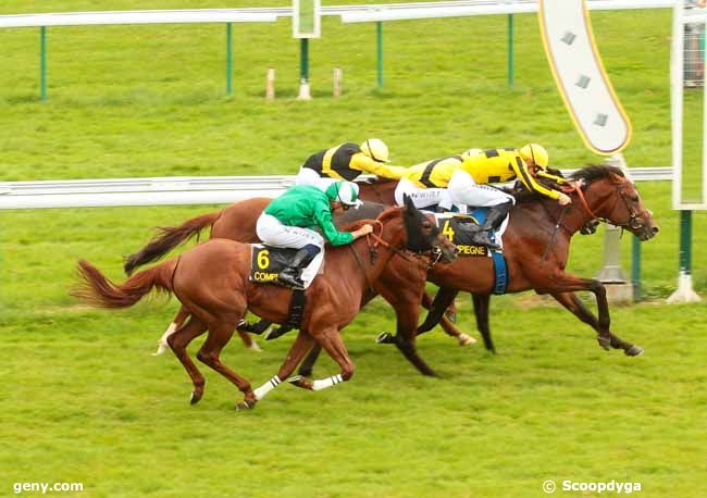 11/07/2016 - Compiègne - Prix de Rémy : Ankunft