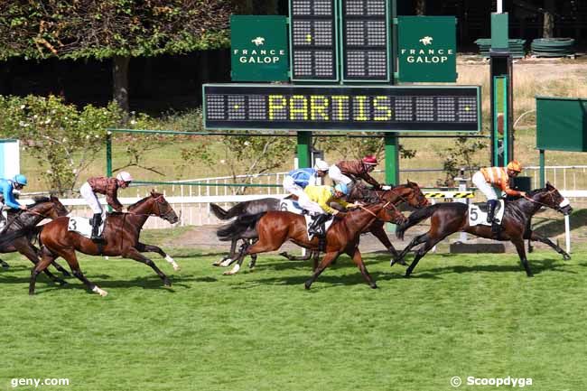 02/07/2017 - Saint-Cloud - Prix de Saint-Patrick : Arrivée