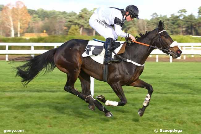 28/11/2017 - Fontainebleau - Prix de Macherin : Result