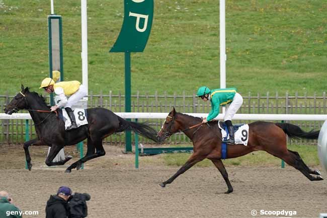 06/11/2019 - Chantilly - Prix de la Croix Marquet : Arrivée