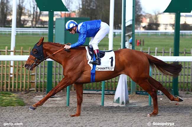 13/03/2020 - Chantilly - Prix Tandem : Arrivée