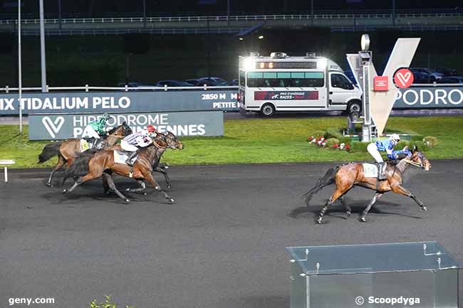 31/01/2021 - Vincennes - Prix Tidalium Pélo : Arrivée