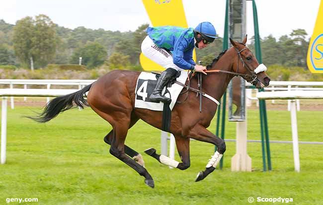 12/10/2021 - Fontainebleau - Prix Colonel Jochaud du Plessix : Arrivée